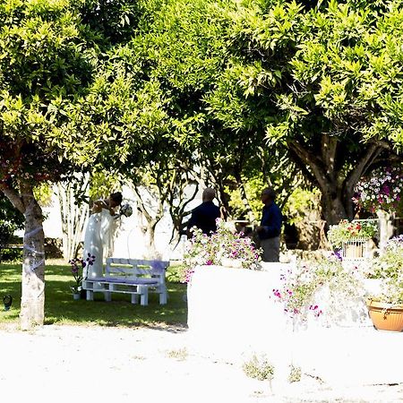 La Purissima Bed & Breakfast Alghero Exterior foto