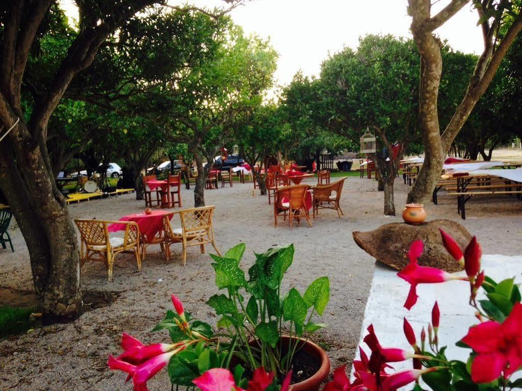 La Purissima Bed & Breakfast Alghero Exterior foto